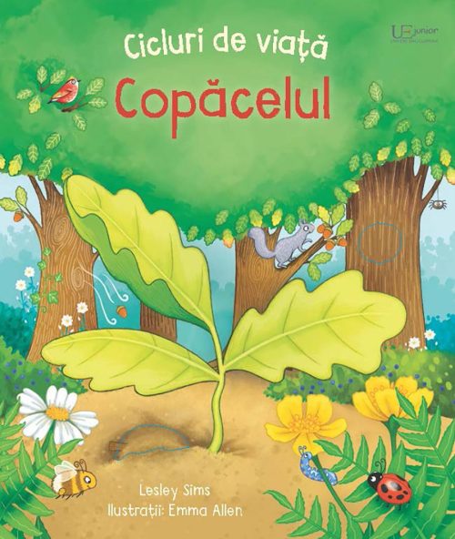 cicluri-de-viata-copacelul Cicluri de viață. Copăcelul (Usborne)