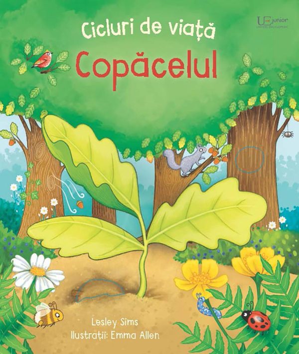 Cicluri de viață. Copăcelul (Usborne)