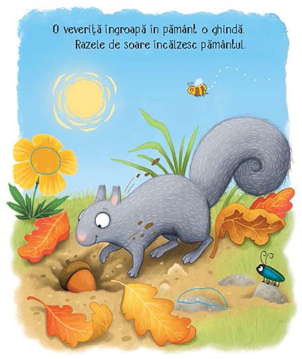 Cicluri de viață. Copăcelul (Usborne)