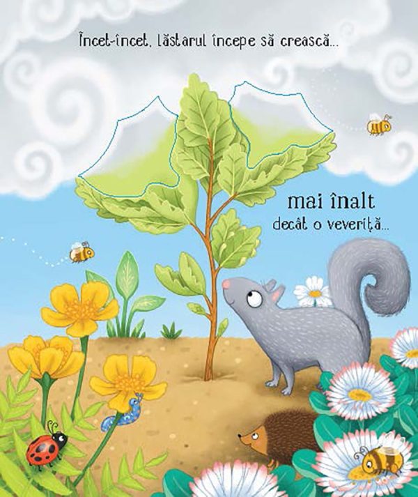 Cicluri de viață. Copăcelul (Usborne)