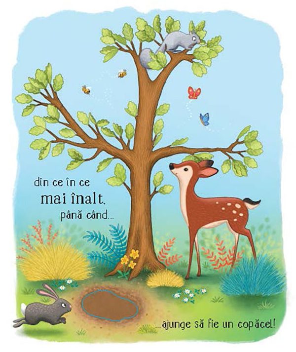 Cicluri de viață. Copăcelul (Usborne)