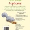 Cicluri de viață. Copăcelul (Usborne)