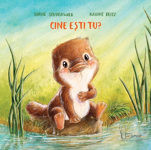 cine_esti_tu Cine ești tu?