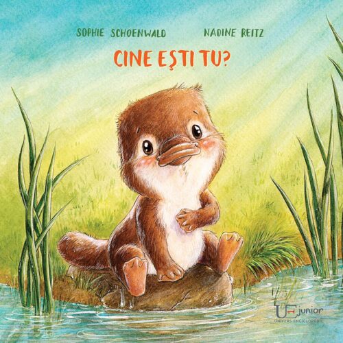 cine_esti_tu Cine ești tu?