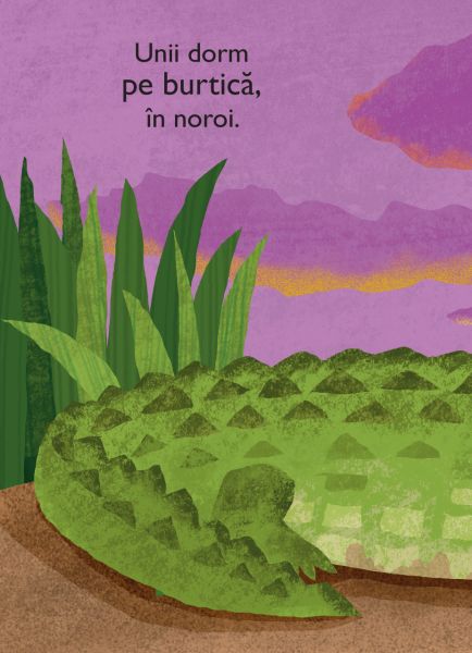 Marea carte a somnului