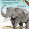 Marea carte a animalelor (Usborne)