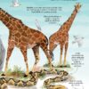 Marea carte a animalelor (Usborne)