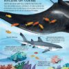 Marea carte a animalelor din mari și oceane (Usborne)