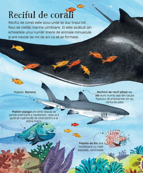 Marea carte a animalelor din mari și oceane (Usborne)