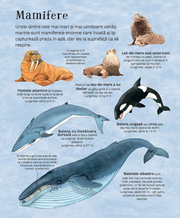 Marea carte a animalelor din mari și oceane (Usborne)