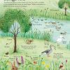 marea_carte_ilustrata_a_naturii3 Marea carte ilustrată a naturii (Usborne)