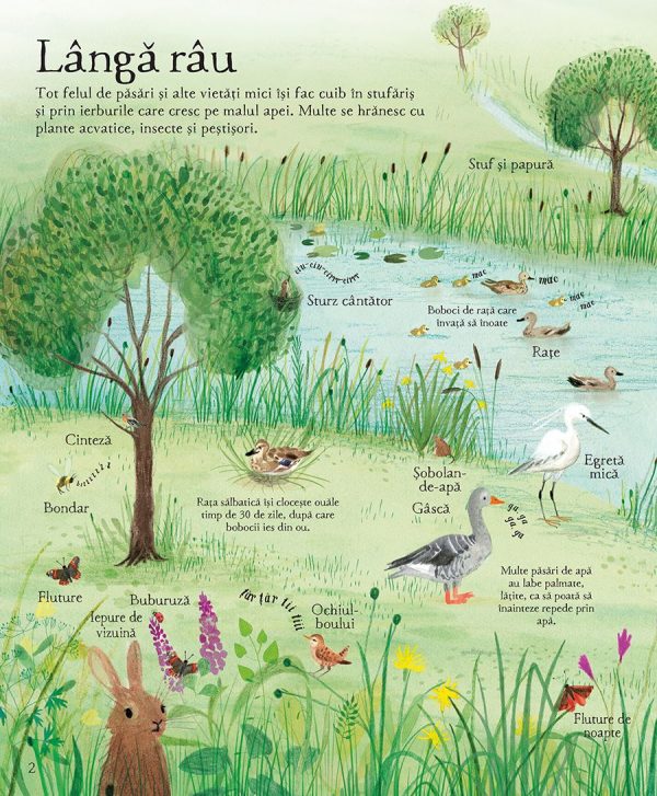 marea_carte_ilustrata_a_naturii3 Marea carte ilustrată a naturii (Usborne)
