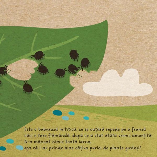 micuta_buburuza5 Prietenii mei din pădure. Micuța buburuză