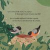 micuta_veverita2 Prietenii mei din pădure. Micuța veveriță