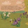micutul_arici2 Prietenii mei din pădure. Micuțul arici
