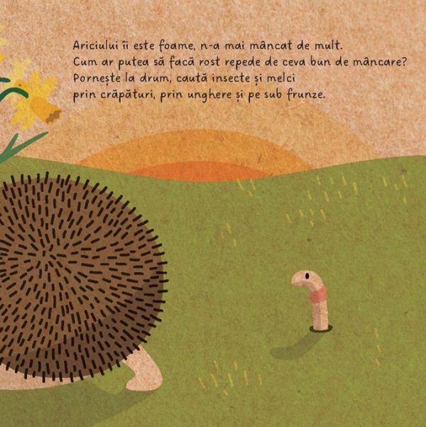 micutul_arici5 Prietenii mei din pădure. Micuțul arici