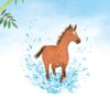 povesti_despre_cai_si_ponei4 Povești despre cai si ponei pentru copii (Usborne)