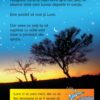 Soarele, Luna și Stelele (Usborne)