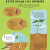 Totul incepe cu o sămânța... (Usborne)