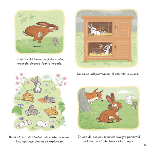 ce-stii-despre-puii-de-animale-de-la-ferma5 Ce știi despre puii de animale de la fermă?