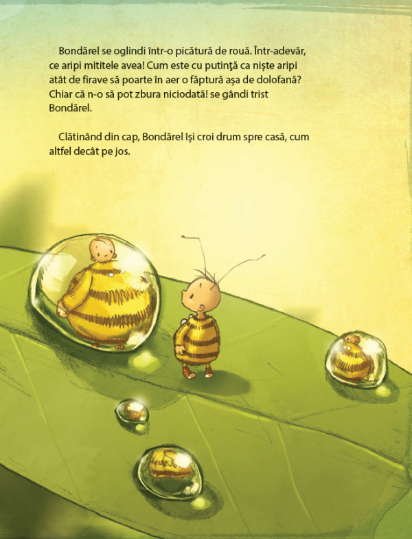 bondarel-invata-sa-zboare (3) Bondărel învață să zboare