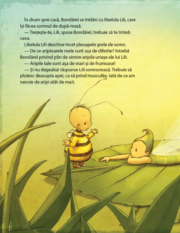 bondarel-invata-sa-zboare (4) Bondărel învață să zboare
